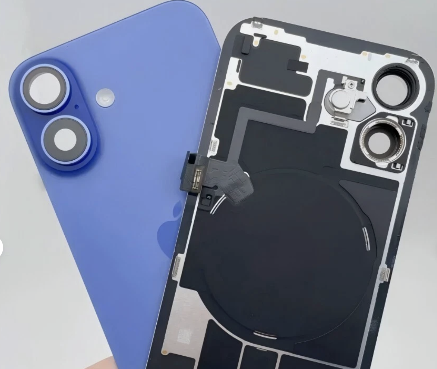 iPhone Back Glass Repair San Diego