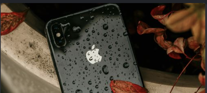 iPhone Water Damaged? What to Look For